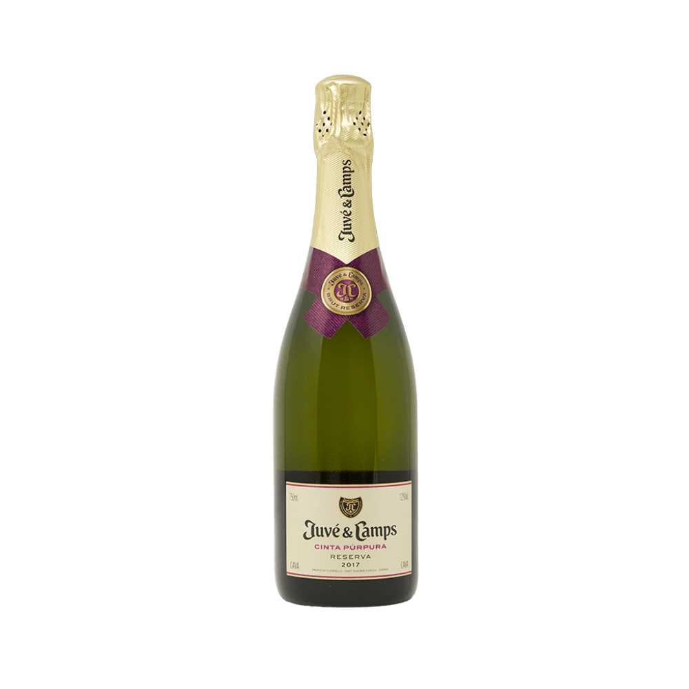 Juve Y Camps Reserva Cava Schaumwein 0.75
