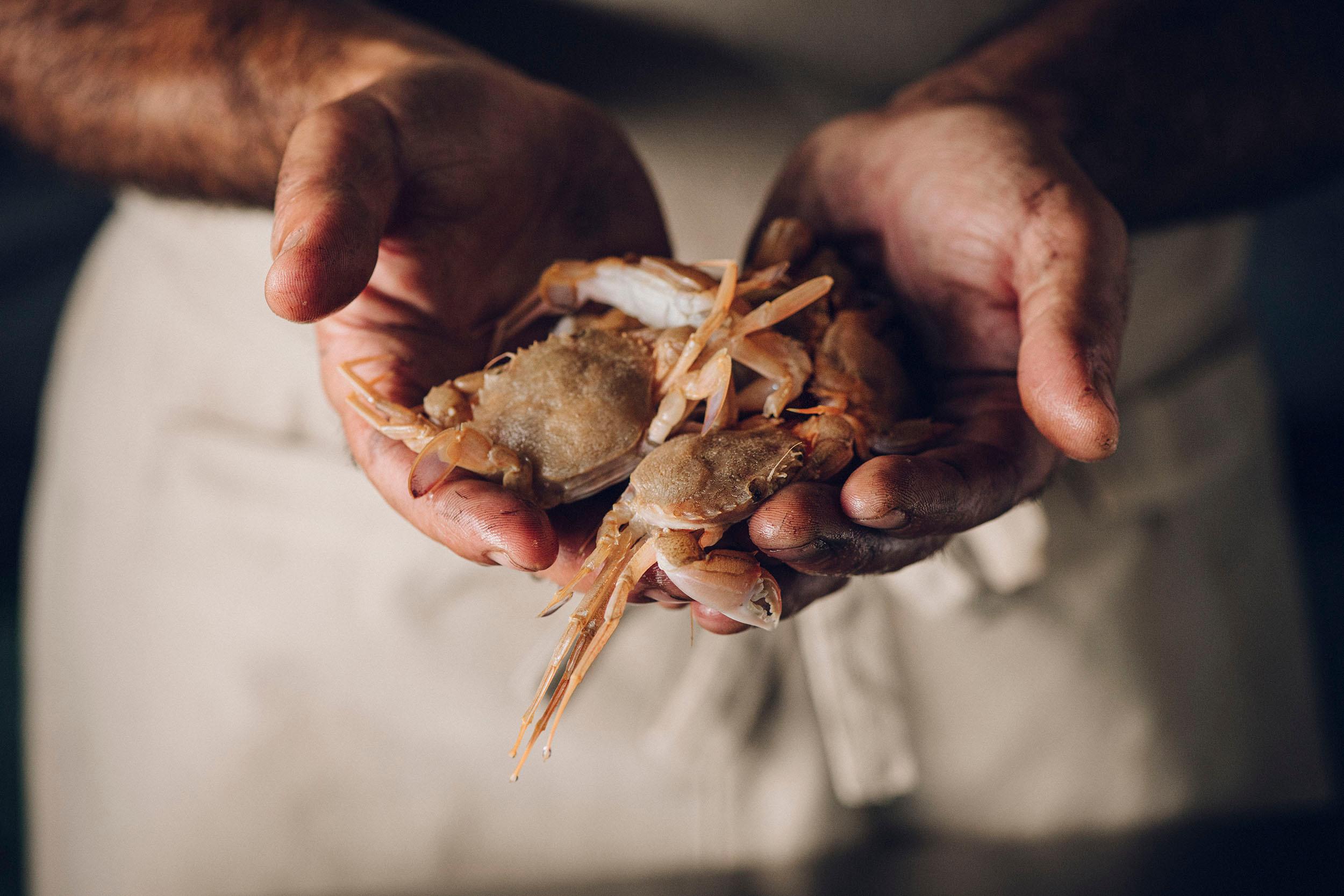 Profi Kit: Arroz del Senyoret y Vino Blanco