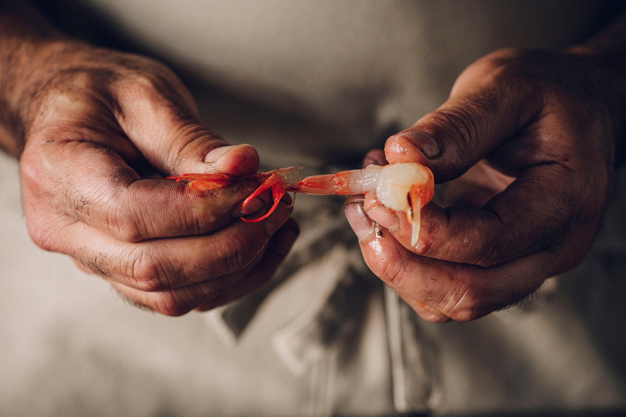 Profi Kit: Arroz del Senyoret y Vino Blanco